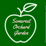 Grown in England Somerset Orchard Garden 2