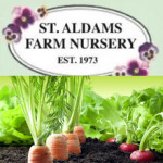 Grown in England St Aldams Farm Nursery 6