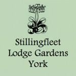 Grown in England  Stillingfleet Lodge Garden and Nursery 7