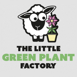 Grown in England The Little Green Plant Factory 1