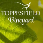 Grown in England Toppesfield Vineyard 1