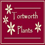 Grown in England Tortworth plants 1