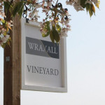 Grown in England Wraxall Vineyard 1