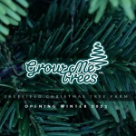 Grown in England Christmas Tree 5