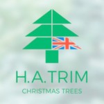 Grown in England Christmas Tree 6