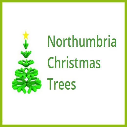 Northumbria Christmas Trees Grown In England
