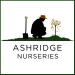 Grown in England Ashridge Nurseries 5