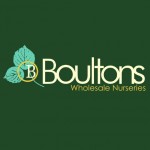 Grown in England Boultons 1