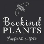 Grown in England The Beekind Plants 1