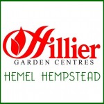 Grown in England Hilliers 14