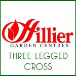 Grown in England Hilliers 22
