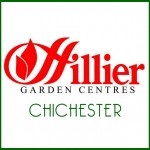 Grown in England Hilliers 3