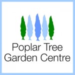 Grown in England Poplar Tree Garden Centre