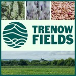Grown in England Trenow Fields 1