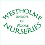 Grown in England Westholme Nurseries 1