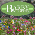 Grown in the UK .Barby Nurseries