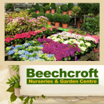Grown in the UK .Beechcroft Nurseries & Garden Centre