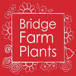 Grown in the UK .Bridge Farm Plants