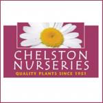 Grown in the UK .Chelston Nurseries