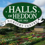 Grown in the UK .Halls of Heddon