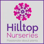 Grown in the UK .Hilltop Nurseries