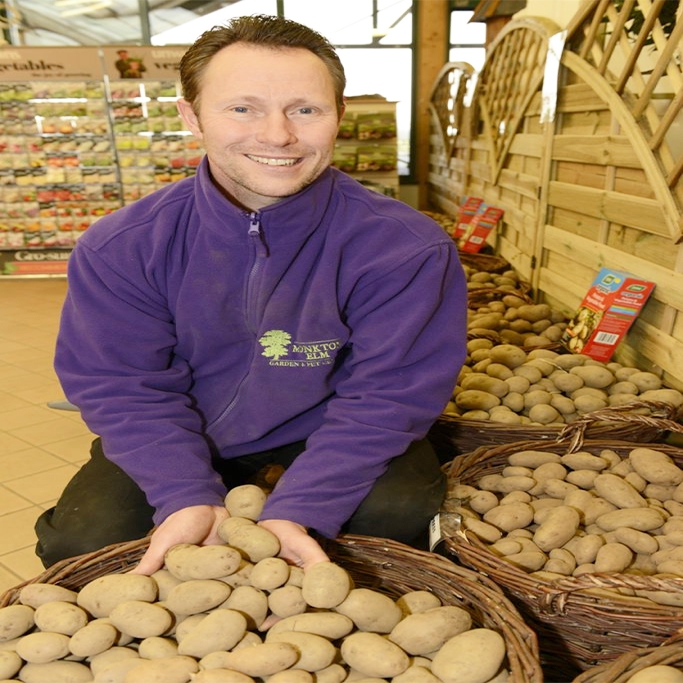 Monkton Elm Garden Centre Grown In England