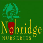 Grown in the UK .Nobridge Nurseries