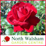 Grown in the UK .North Walsham Garden Centre