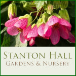 Grown in the UK .Stanton Hall Gardens & Plant Nursery