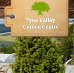 Grown in the UK .Tyne Valley Garden Centre