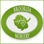 Grown in the UK Brooklea Nurseries