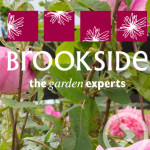Grown in the UK Brookside