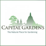 Grown in the UK  Capitol Gardens 1