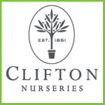 Grown in the UK  Clifton Nurseries 1