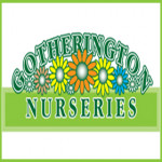 Grown in the UK  Gotherington Nurseries 1