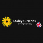 Grown in the UK Loxley Nurseries