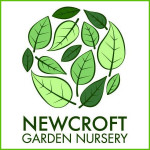 Grown in the UK  Newcroft Garden Nursery 1