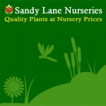 Grown in the UK Sandy Lane Nurseries