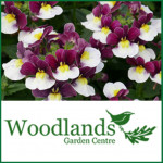 Grown in the UK Woodlands Garden Centre