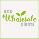 Grown in the UK ADP Wholesale