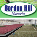 Grown in the UK Bordon Hill Nurseries