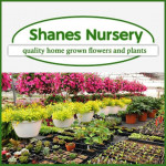 Grown in the UK Shanes Nursery