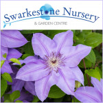 Grown in the UK Swarkestone Nursery