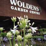 Grown in the UK Wolden Garden Centre