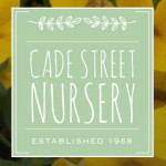 Grown in the UK Cade Street Nursery