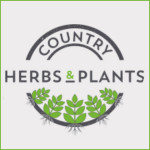 Grown in the UK Country Herbs and Plants Ltd
