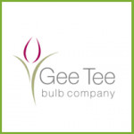 Grown in the UK Gee Tee Bulb Company