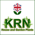 Grown in the UK K.R.N. House & Garden Plants