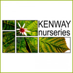 Grown in the UK Kenway Nurseries