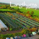 Grown in the UK Langthorns Plantery